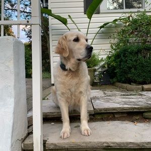 Meet your Posher, Luna